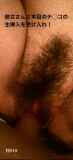 5462436.jpg
(13KB)